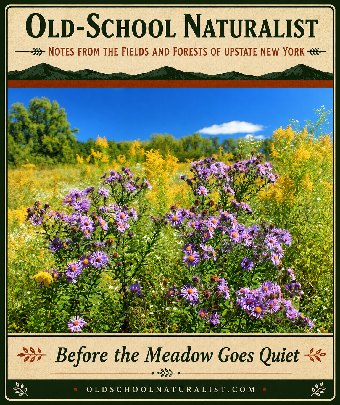 Before the Meadow Goes Quiet