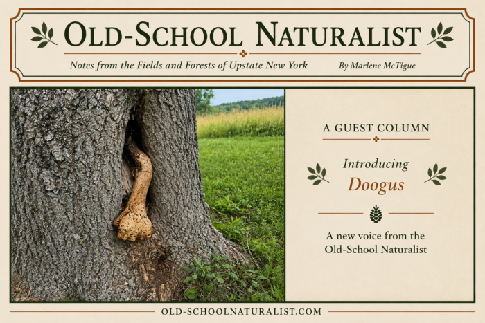 Old School Naturalist’s first Guest Columnist- Introducing Doogus